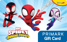 Spidey & Friends FR FR